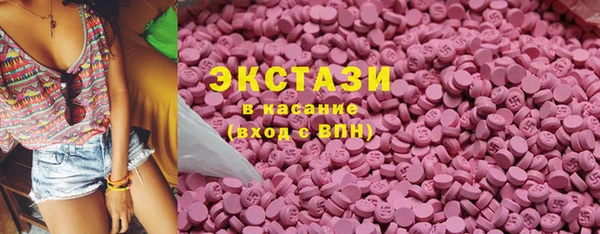 ECSTASY Горняк